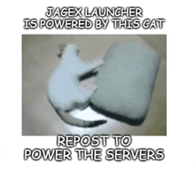 Jagex Launcher GIF - Jagex Launcher Power GIFs