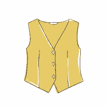 fashion vest compa%C3%B1%C3%ADa fant%C3%A1stica zoom suit