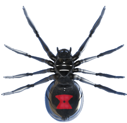Balenciaga Spider Sticker - Balenciaga Spider Claudiamate Stickers