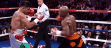 two boxers are fighting in a boxing ring with a mgm grand banner behind them