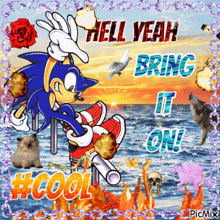 a picture of sonic the hedgehog with the words hell yeah bring it on