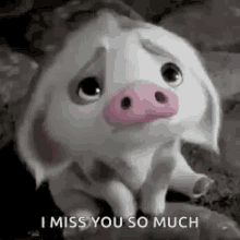 Disney Moana Pig GIF - Disney Moana Pig I Miss You GIFs