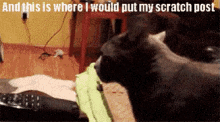 6 GIF - Scratch Post Angry Cat GIFs