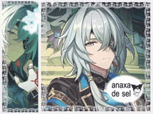 a picture of a boy with white hair and the words anaxa de sel on the bottom