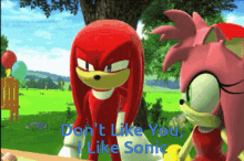Knuckles The Echidna Amy Rose GIF - Knuckles The Echidna Amy Rose Sonic GIFs