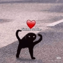 a black cat is standing on the side of the road with a heart on its head .