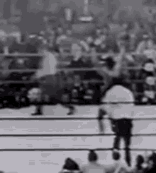 Muhammad Ali Cassius Clay GIF - Muhammad Ali Cassius Clay Boxing GIFs