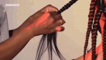 Braiding Dreadlocks GIF - Braiding Dreadlocks Hair Styling GIFs