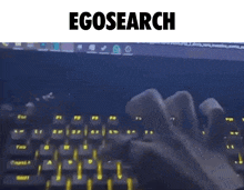 a person is typing on a keyboard with the word egosearch written above them