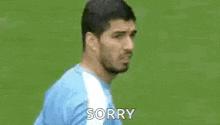 a man in a blue shirt is standing in front of a green field and saying sorry .