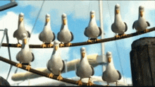 a flock of seagulls standing on a rope