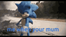 Sonic The Hedgehog Sonic Funny GIF - Sonic The Hedgehog Sonic Funny Sonic Lover GIFs