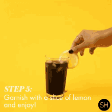Black Lemonade Garnish GIF - Black Lemonade Lemonade Garnish GIFs