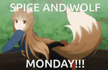 Spice And Wolf Holo GIF - Spice And Wolf Holo Monday GIFs