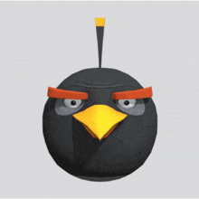 Angry Birds Bomb GIF