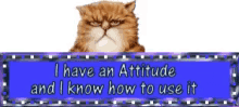 Attitude I Have An Attitude GIF - Attitude I Have An Attitude I Know How To Use It GIFs
