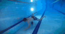 плавать бассейн GIF - плавать бассейн плавание GIFs