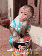 a monkey is sitting on top of a bucket that says omag