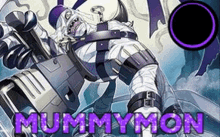 Digimon Mummymon GIF - Digimon Mummymon O1n GIFs