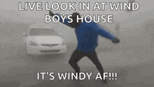 Wind Windy GIF - Wind Windy GIFs