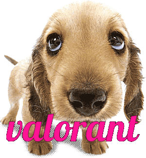 Valorant Dog Sticker - Valorant Dog Pleading Stickers