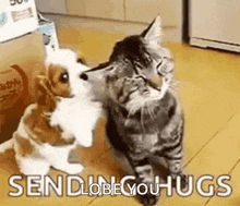 Care Hugs GIF - Care Hugs Love GIFs