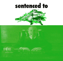 a judge is sitting in front of a green screen with the words sentenced to