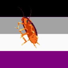 Rainbow Cockroach GIF - Rainbow Cockroach Meme GIFs