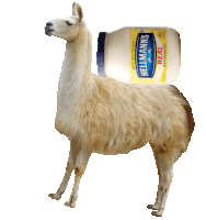 Llama Mayonaise Sticker - Llama Mayonaise Mayonnaise Stickers
