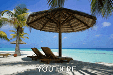 two chairs under an umbrella on a beach with the words you here above them