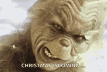 Christmas Is Coming Grinch GIF - Christmas Is Coming Grinch Happy GIFs