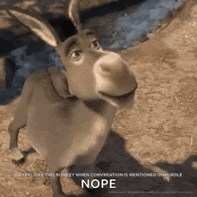 a donkey from shrek is standing in the dirt and looking up at the camera .