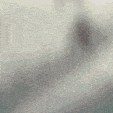 a gray background with a few spots of color