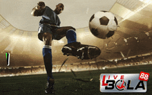 Livebola Livebola88 GIF - Livebola Livebola88 Sports GIFs