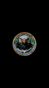 a logo for the silent eagle family is on a black background