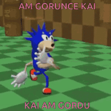 Sonic Kai GIF - Sonic Kai Sonicrunning GIFs