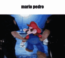 Mario Pedro GIF - Mario Pedro Mario Pedro GIFs