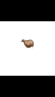 a cartoon drawing of a sheep running on a white background