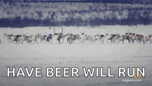 Red Deers Primal Survivors GIF
