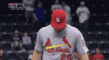 Baseball Fail GIF - Baseball Fail Looking GIFs