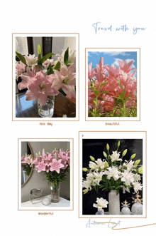 four pictures of flowers with the words travel with you on the bottom