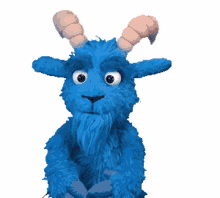blue goat