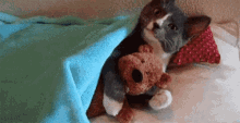 Cat Toy GIF - Cat Toy Love GIFs