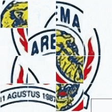 Arema Malang GIF - Arema Malang Indonesia Sepak Bola GIFs