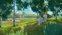 a person riding a white horse in a field