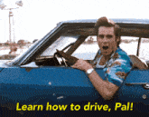 Ace Ventura Jim Carrey GIF - Ace Ventura Jim Carrey Drive GIFs