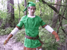 Zelda Link GIF - Zelda Link Dies GIFs