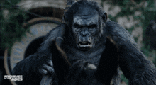 Planet Of The Apes Koba GIF - Planet Of The Apes Koba Badass GIFs