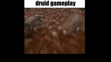 a picture of a person looking out a window with the words druid gameplay written on it