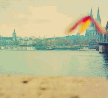 a butterfly with red and yellow wings is sitting on a beach
